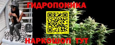 jwh Шебекино