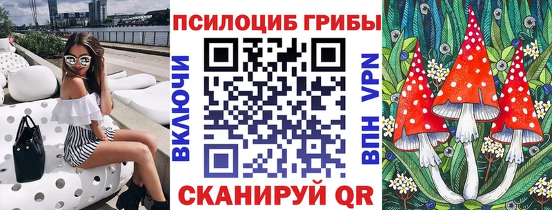 Псилоцибиновые грибы Psilocybine cubensis Кинешма