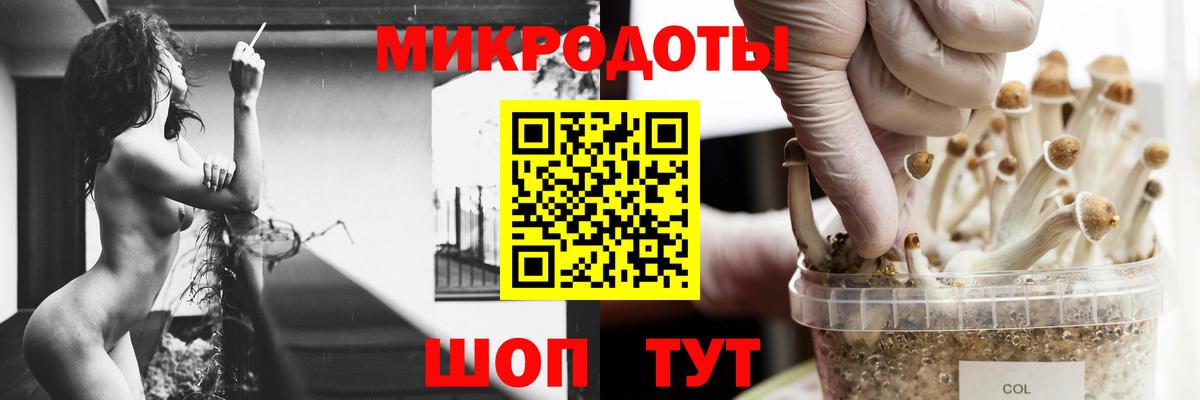 Галлюциногенные грибы прущие грибы  купить наркотик  Кинешма  Вход с VPN  Псилоцибиновые грибы GOLDEN TEACHER 